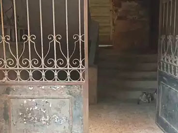 Building For sale in Khesro Basha St., Helwan El Sharkeya, 550 sqm