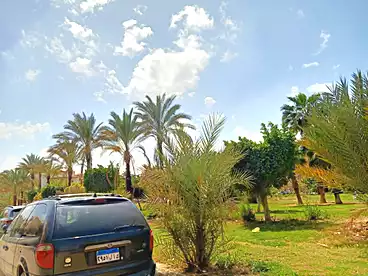 Apartments For rent in Mohamed Hashem Fouad St., El Narges 3, 180 sqm