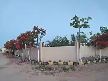 Villas For sale in El Reef El Aorobee, Expansion Of El Sheikh Zayed City, 550 sqm