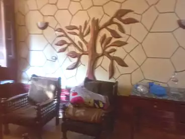 عقارات للإيجار في شارع 11، بيانكي، 50 متر