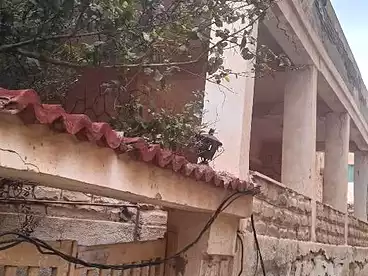 عقارات للبيع في أبو يوسف، العجمي، 200 متر