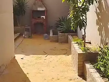 Duplex For sale in Northern Tourist Expansions, Northern Expansions, 260 sqm