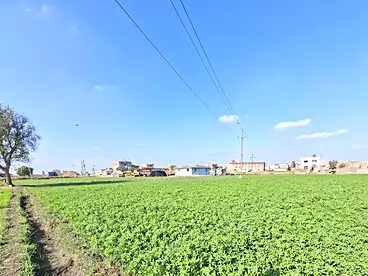 Properties For sale in Faqous City, Faqous, 1750 sqm