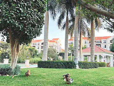 Apartments For sale in Regents Park Compound - Al Dawlia, Compounds in New Cairo, 136 sqm