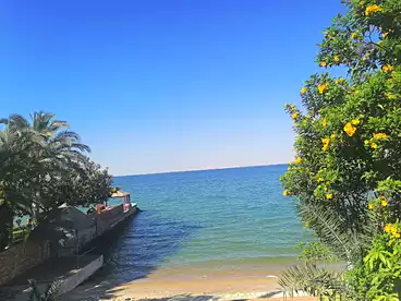 فلل للإيجار في شارع السواحل، فايد، 340 متر