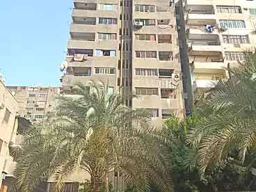 عمارات للبيع في منشية الصدر، حدائق القبة، 300 متر