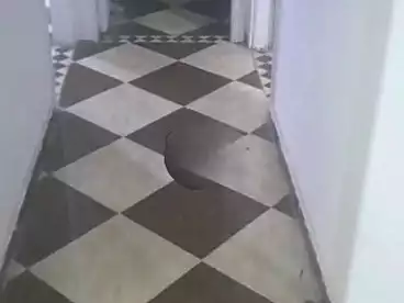 Apartments For rent in Cairo St., Sidi Beshr Qebli, 160 sqm