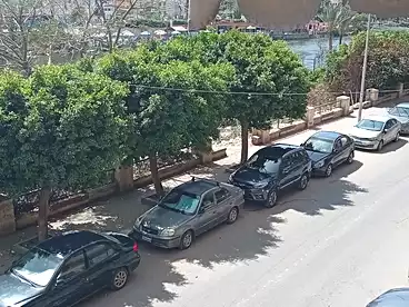 في شارع الروضة، المنيل، 130 متر