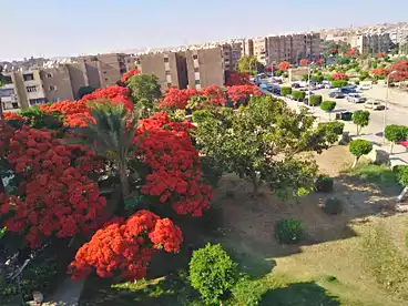 Properties For rent in Neighbourhood 4, 15th of May, 86 sqm