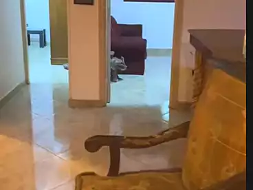 شقق للإيجار في شارع أحمد عصمت، عين شمس، 88 متر