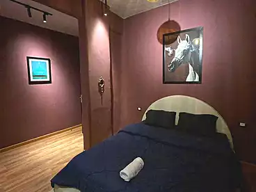 Studio For rent in El Sayed El Merghany St., El Merghani St., 50 sqm