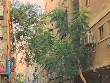 مباني للبيع في شارع الهرم، الهرم، 90 متر