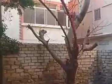 فيلا منفصلة للبيع في أبو يوسف، العجمي، 140 متر