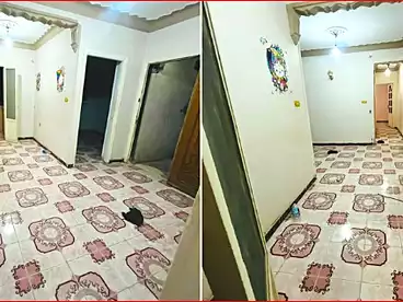 Apartments For sale in El Falki, El Seyouf, 75 sqm