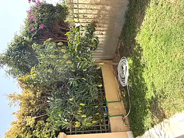 Villas For sale in El Patio 5 East Compound - La Vista, Compounds in Elshorouk City, 210 sqm