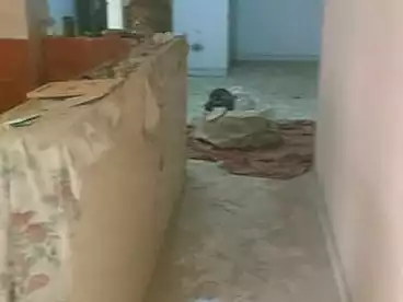 شقق للبيع في المريوطية، فيصل، 120 متر