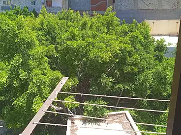 Apartments For sale in Abu Yusuf, Al Agamy, 155 sqm