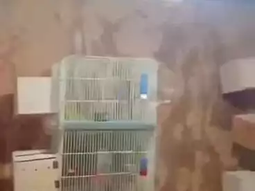 شقق للبيع في الهانوفيل، العجمي، 80 متر