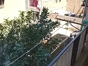 Properties For sale in Ard El Gameaya, Imbaba, 140 sqm