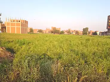 Farm For sale in Qlioub City, Qlioub, 962 sqm