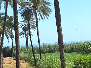 Properties For sale in El Mamoura, Alexandria, 67500 sqm
