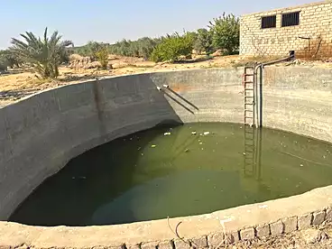 Properties For sale in Asyut Rd., El Fayoum, 29400 sqm