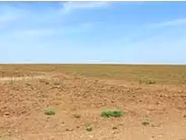 For sale in Wadi El Nile, Green Belt, 21000 sqm