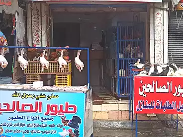 تجاري للبيع في سيدي بشر بحري، سيدي بشر، 42 متر
