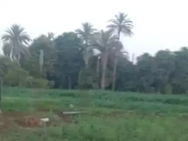Farm For sale in Mallawi, El Minya, 1400 sqm