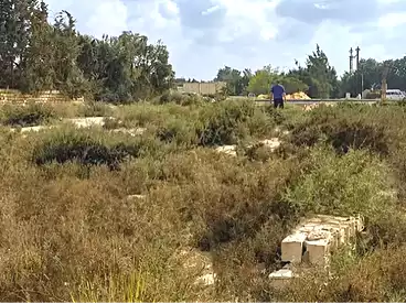 Land For sale in Borg El Arab, Alexandria, 1041 sqm
