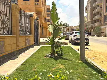 شقق للبيع في اللوتس الجنوبيه، اللوتس، 150 متر