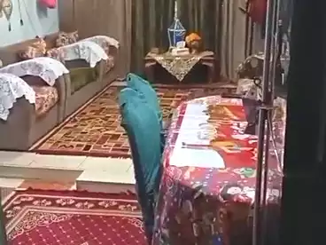 عقارات للبيع في سيدي بشر قبلي، سيدي بشر، 80 متر
