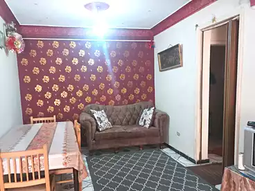 عقارات للإيجار في شارع سيدي كمال، المندرة بحري، 100 متر