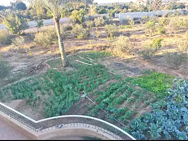 Land For sale in El Reef El Aorobee, Expansion Of El Sheikh Zayed City, 3683 sqm