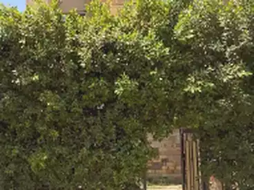 Apartment with Garden For rent in Gardenia City, Compounds in Nasr City, 120 sqm