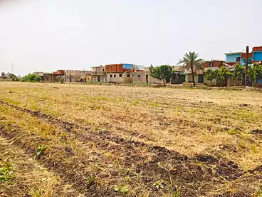 أراضي للبيع في السعدة، اطسا، 16000 متر