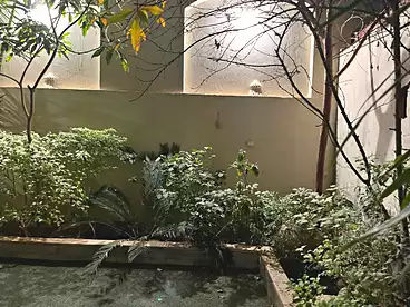 Apartments For sale in Alaa Elsaadany St., Gharb El Golf, 500 sqm