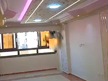 Apartments For rent in El Asafra, Alexandria, 135 sqm
