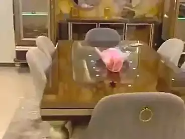 شقق للبيع في اللبيني، فيصل، 280 متر