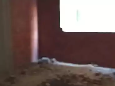 شقق للبيع في شارع 27، النزهة 2، 120 متر