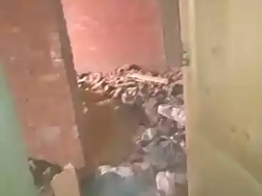 شقق للبيع في اللبيني، فيصل، 150 متر