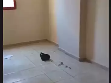 شقق للإيجار في شارع الحديد والصلب، الهانوفيل، 120 متر