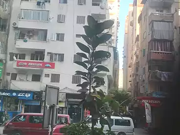 Apartments For sale in Gamal Abdel Nasser St., Victoria, 80 sqm