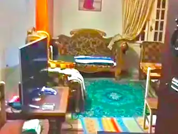 Apartments For sale in Amr Ibn El Aas St., El Matbaa, 100 sqm