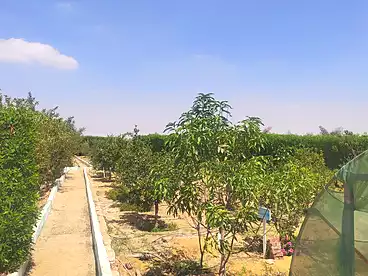 Land For sale in Asyut Rd., El Fayoum, 2100 sqm