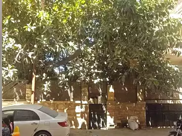 عقارات للبيع في شارع عبد الحميد رضوان، العجمي البحري، 80 متر