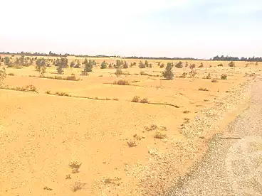 أرض مباني سكنية للبيع في وادي النيل، الحزام الأخضر، 4200 متر