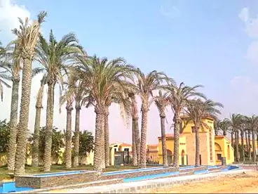 فلل للبيع في كمبوند قطامية جاردنز - شمال افريقيا، كمبوند بالتجمع الخامس، 365 متر