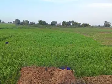 Land For sale in Bashtil, Greater Cairo, 16800 sqm