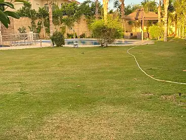 قصر للبيع في الغرود الشرقية، جمعية عرابي، 800 متر